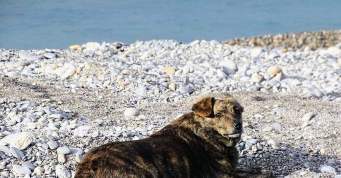 xatsiko palioxwras 19032026 1200x630.jpg