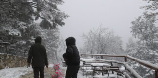 xionia eurok 1200x630.jpg