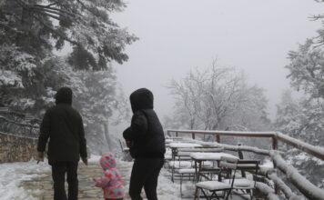 xionia eurok 1200x630.jpg