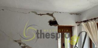 zimies spitia11 1200x630.jpg