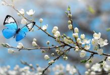 Τα 4 ζώδια που θα πρωταγωνιστήσουν στις εξελίξεις τον Απρίλιο zodia.jpg