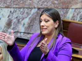 zoikonstantopoulou vouli 1200x630.jpg