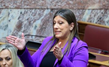 zoikonstantopoulou vouli 1200x630.jpg