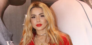 zozefin ndp 1200x630.jpg