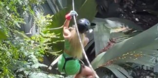 0c567fc2ae8864ce7d6d34994d7be8d3 XL.jpg