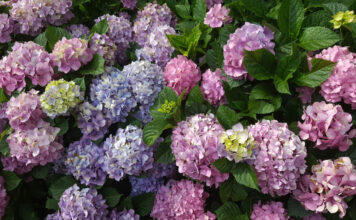 14fe3c50ea2d86d46f0c7b12a4c25087 XL.jpg