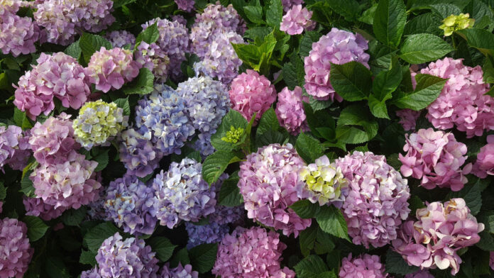 14fe3c50ea2d86d46f0c7b12a4c25087 XL.jpg