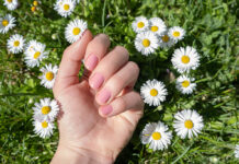 1775279767 manikiour 1024x683.jpg