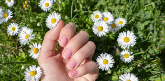 1775279767 manikiour 1024x683.jpg