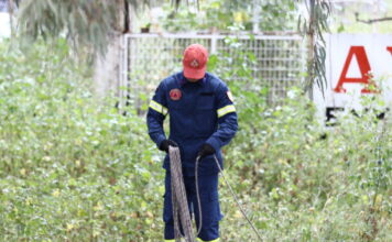 1775486107 emak 1200x630.jpg