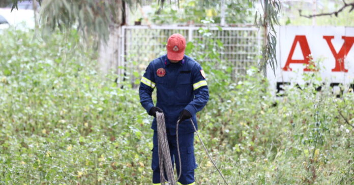 1775486107 emak 1200x630.jpg