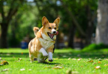 2ee2e29ddff345a06d9242be4772895e XL.jpg