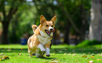 2ee2e29ddff345a06d9242be4772895e XL.jpg