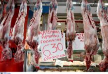 3135cd29 7bdb 4ad5 a7aa 64d953ce376e.jpg