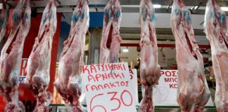 3135cd29 7bdb 4ad5 a7aa 64d953ce376e.jpg