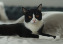 42124477e651f7f3e4e16c389926a81b XL.jpg