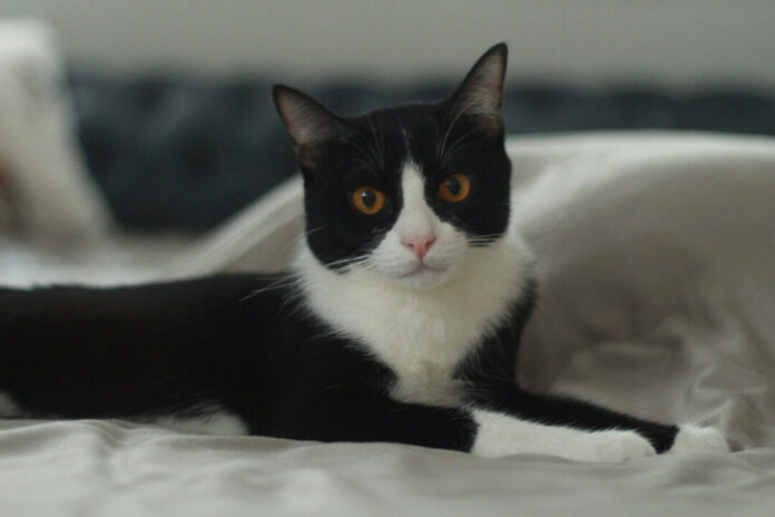 42124477e651f7f3e4e16c389926a81b XL.jpg 42124477e651f7f3e4e16c389926a81b XL.jpg