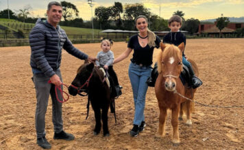 44475cc1eedcb70115f191d7ad2e74a1 XL.jpg