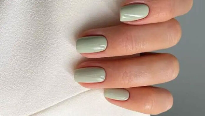 5241254563146.jpg 5241254563146.jpg