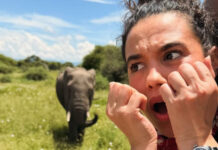 65988d4c8a92640654e1b69bbc8458dc XL.jpg