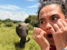 65988d4c8a92640654e1b69bbc8458dc XL.jpg