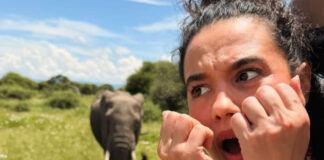 65988d4c8a92640654e1b69bbc8458dc XL.jpg