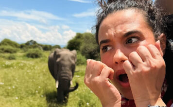 65988d4c8a92640654e1b69bbc8458dc XL.jpg