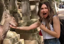 71b92c1887c56a74dd549d5467daf065 XL.jpg