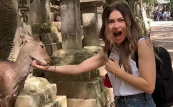 71b92c1887c56a74dd549d5467daf065 XL.jpg