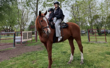 93a396d3aae242e407495ab604d40182 XL.jpg