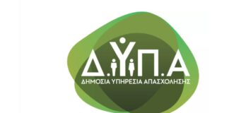 Dypa 1 13.jpg