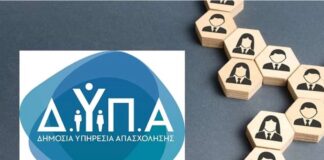 Dypa 1 14.jpg