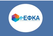 e-ΕΦΚΑ: Ποιες υπηρεσίες βρίσκονται εκτός λειτουργίας έως και τις 20 Απριλίου E EFKA 1 1.jpg