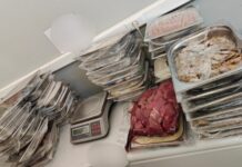 IMG 29221 638x412.jpg