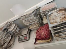 IMG 29221 638x412.jpg