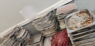 IMG 29221 638x412.jpg