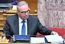 Nikos Papathanasis 1.jpg