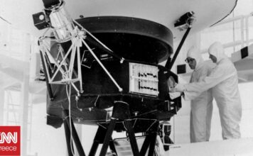 a4d33264 ap23212784308471 og.jpg