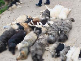 adespota nekra xalkidiki 19042026 1200x630.jpg