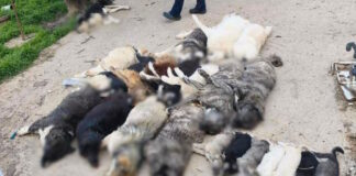 adespota nekra xalkidiki 19042026 1200x630.jpg