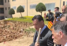 adonis1 1200x630.jpg