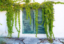 af5337f6fff47303712f8420b685406a XL.jpg