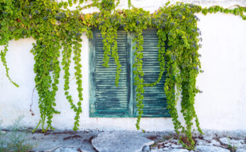 af5337f6fff47303712f8420b685406a XL.jpg