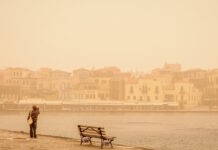 afrikaniki skoni 1 1 1200x630.jpg