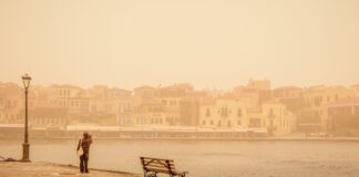 afrikaniki skoni 1 1 1200x630.jpg