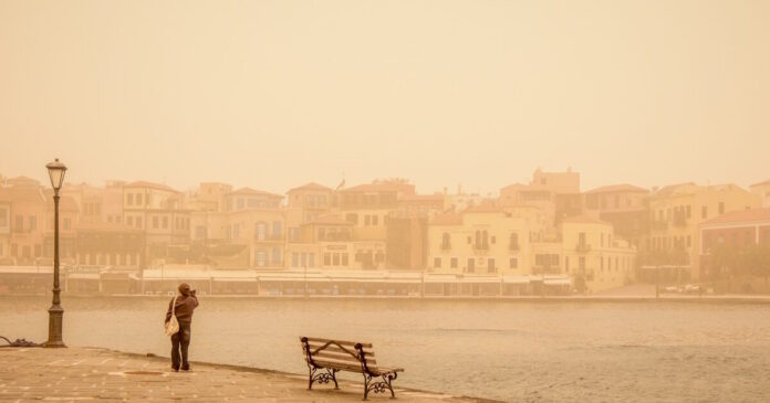 afrikaniki skoni 1 1 1200x630.jpg