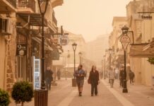 afrikaniki skoni 1 1200x630.jpg