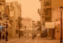 afrikaniki skoni 1200x630.jpg