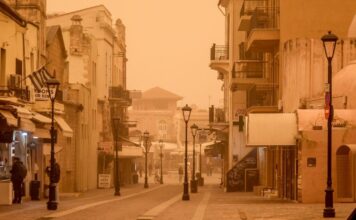 afrikaniki skoni 1200x630.jpg