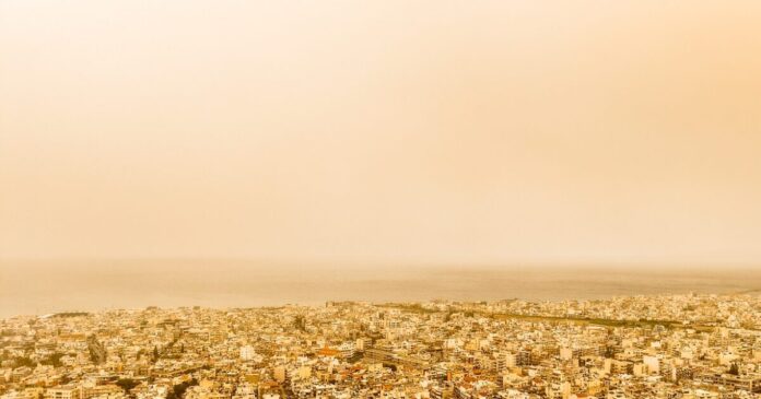 afrikaniki skoni 2 1200x630.jpg afrikaniki skoni 2 1200x630.jpg